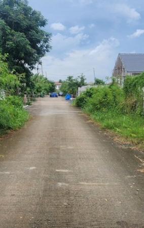 ���Թbts �ҡ���