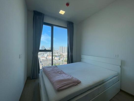 ��¤͹� �ҧ����