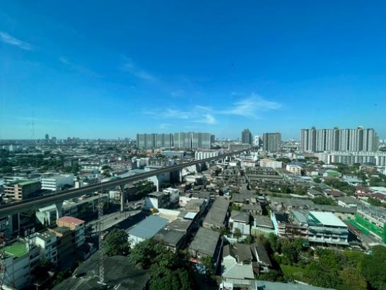 ��¤͹� �ҧ����