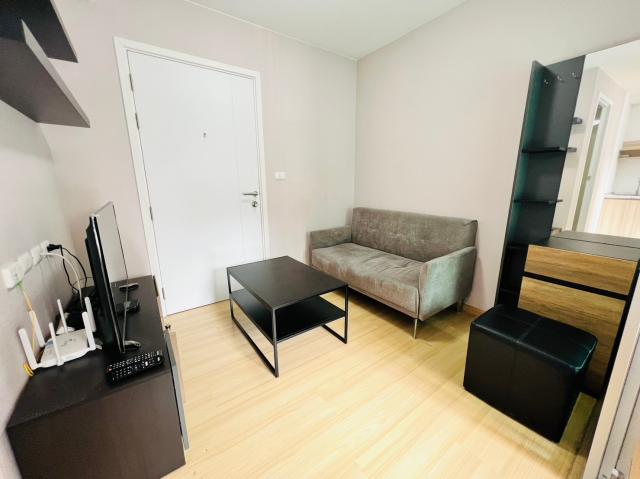 �͹������� ��ѡ���