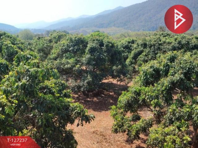 ��§���� �� The Best Property Agent