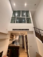 ������ �͹� ���� ��ا෾