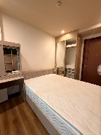 �͹� ���� 43 ���ҧ����