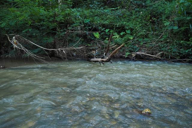 ��·��Թ ���§�ҹ�ҹ