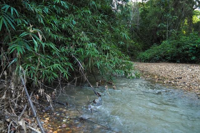 ��·��Թ ���§�ҹ�ҹ