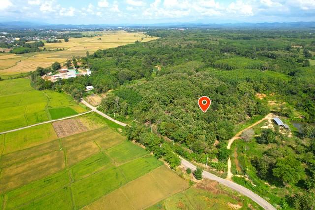 ��·��Թ ����§��ҹ