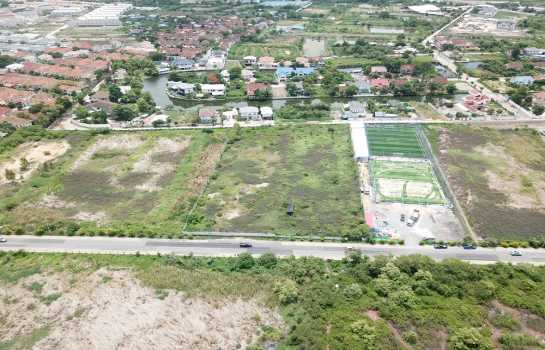 ���Թ������ �ҧ�͹