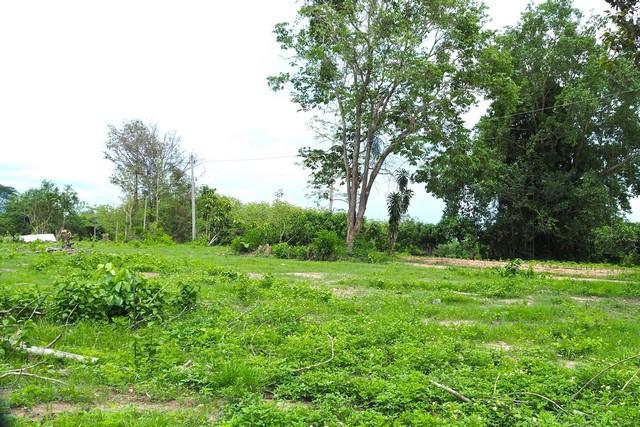 ���Թ ��ҹ