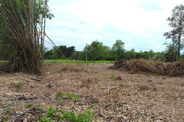 ��·��Թ ����§��ҹ