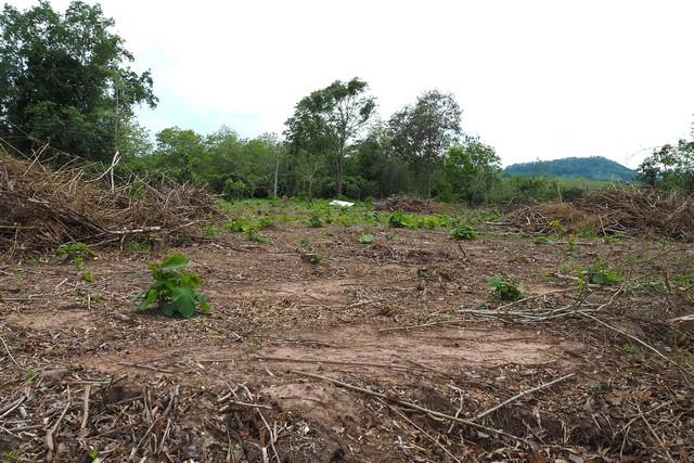 ��·��Թ ����§��ҹ