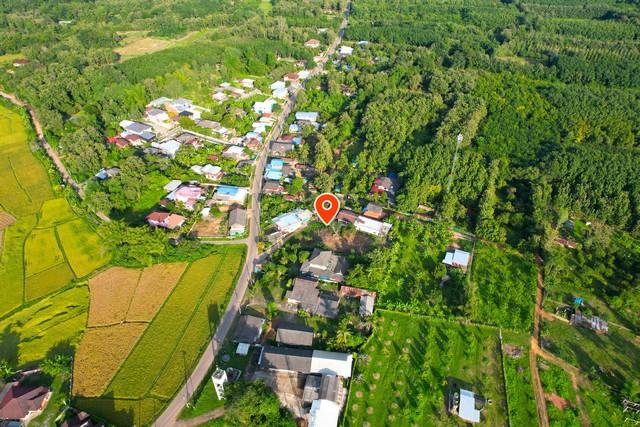 ���Թ ��ҹ