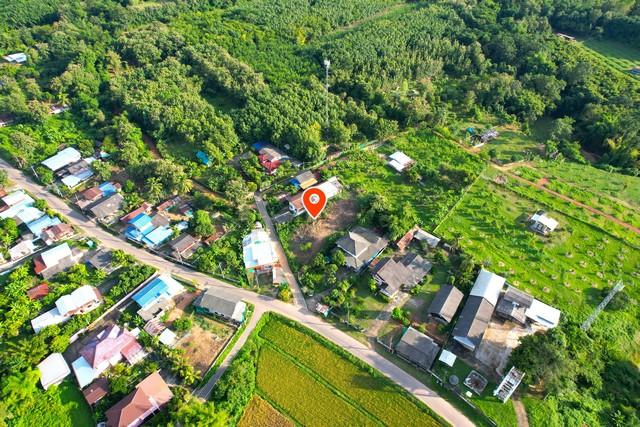 ��·��Թ ���§�ҹ�ҹ