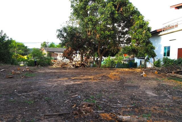 ��·��Թ ���§�ҹ�ҹ