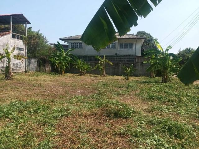 ��ا෾ �� Asset Internal