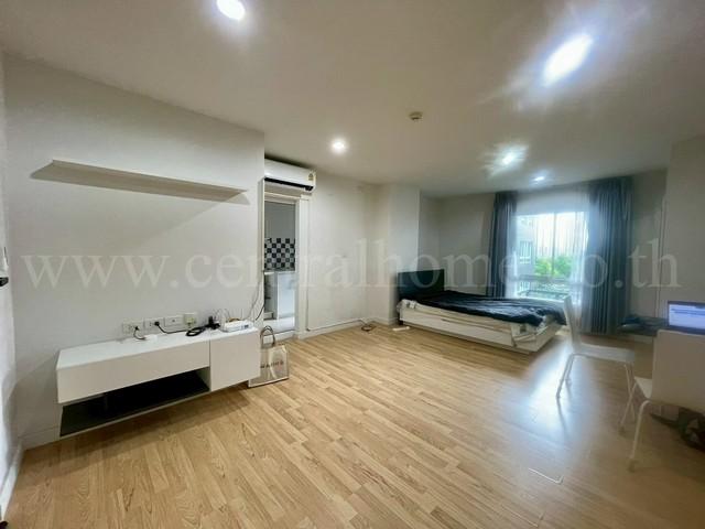 ��¤͹� �ҧ���¹������