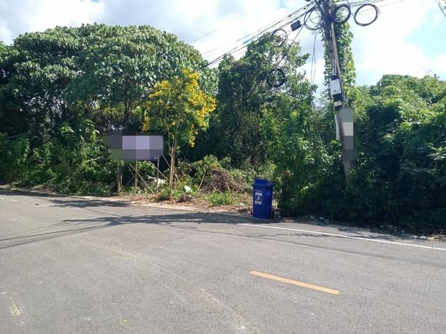 ��·��Թ ��ҹ�Ң�ǵ�ѧ