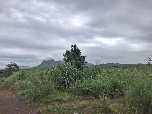 ���Թ ��� �ش���͹