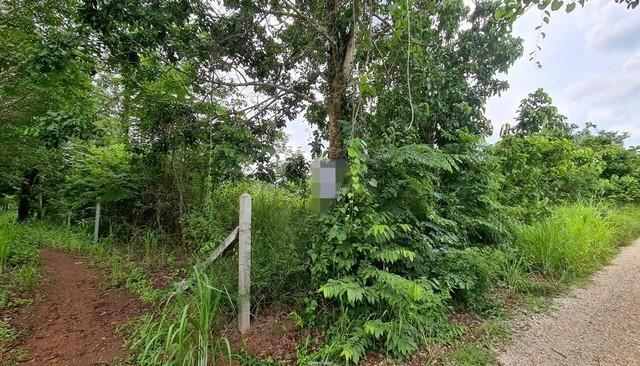 ���Թ ��� ������¹����ǹ���