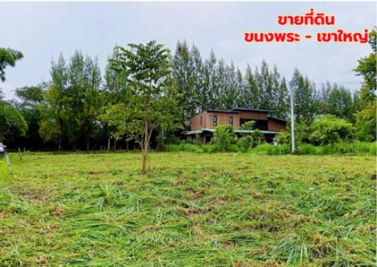 ���Թ �ҡ��ͧ ����Ҫ����