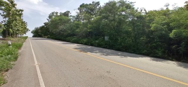 ��·��Թ �ѧ�оا���