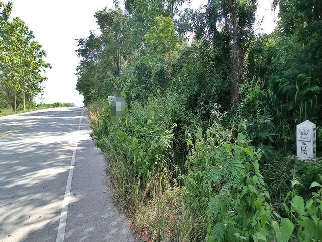 ��·��Թ �ѧ�оا ���