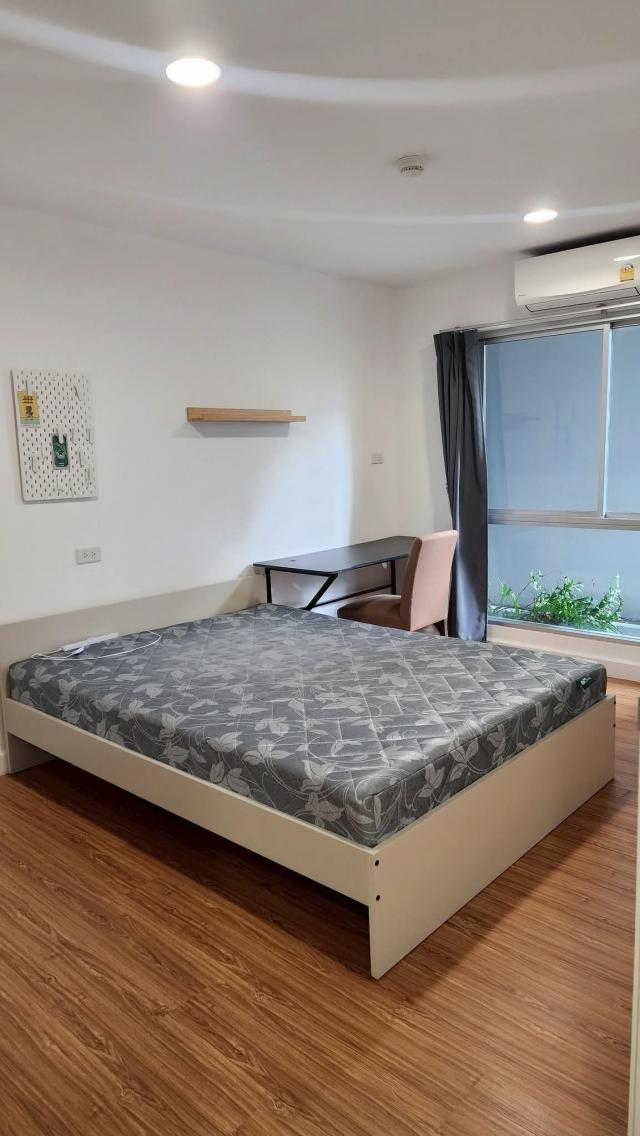 �͹�2��ͧ�͹ ���⢹�