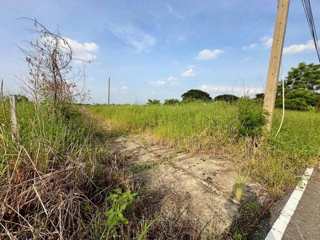 ���Թ˹ͧ���� �����ҹ�