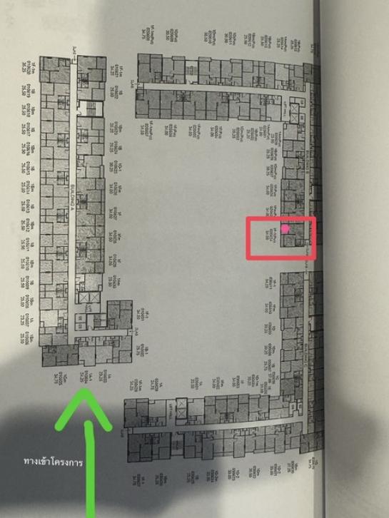 ��¤͹� �Թᴧ��ا෾