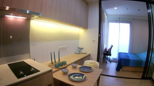 �͹�����ͧ�ѡ��� ��بѡ�