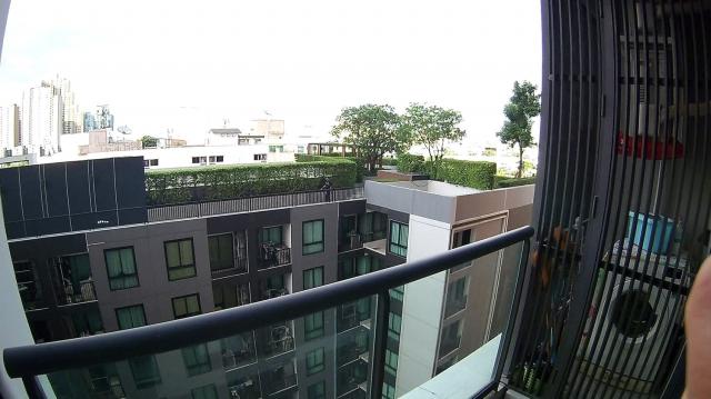 �͹��ç���¹���ѧ ��بѡ�