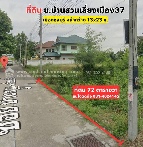 ���Թ�������§���ͧ