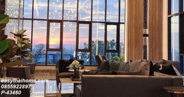 �͹ⴾ�����������ѹ�� ���ͧ��طû�ҡ��