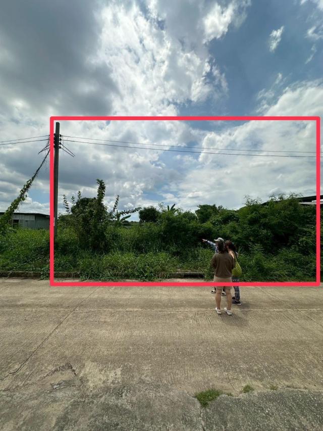 ���Թ ������ԭ