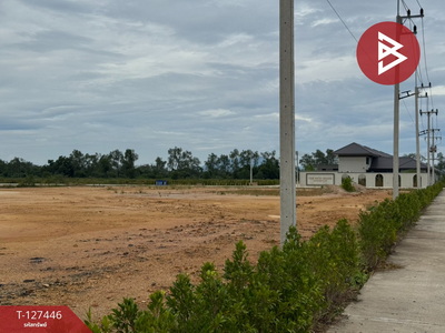 ���Թ�������١���ҧ �ѹ�����