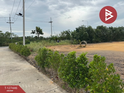 ���Թ�ç���������� �ѹ�����