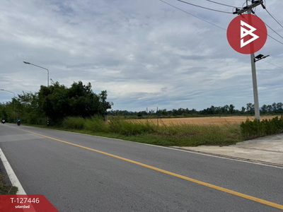 ���Թ�͡��������鹷ҧ �ѹ�����