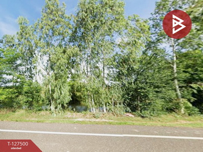 ����Ҫ���� �� The Best Property Agent