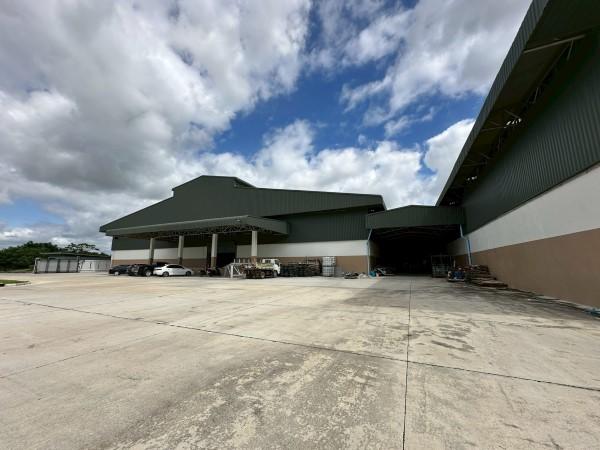 ⡴ѧ ���١��