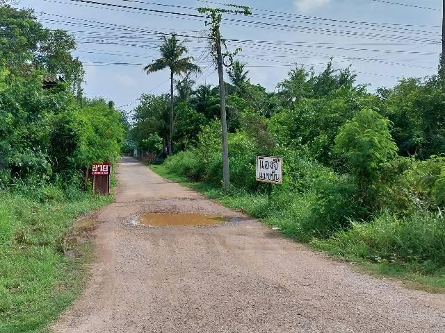 ���Թ ���ͧ �͹��