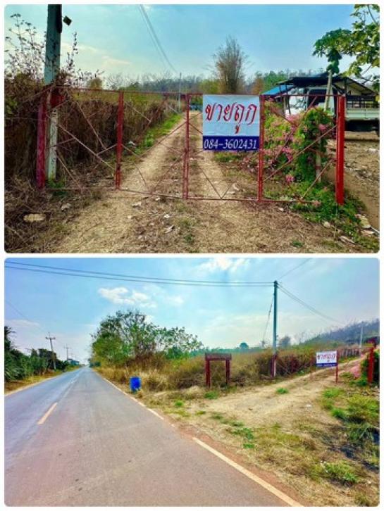 ���Թ �ҡ��ͧ ����Ҫ����