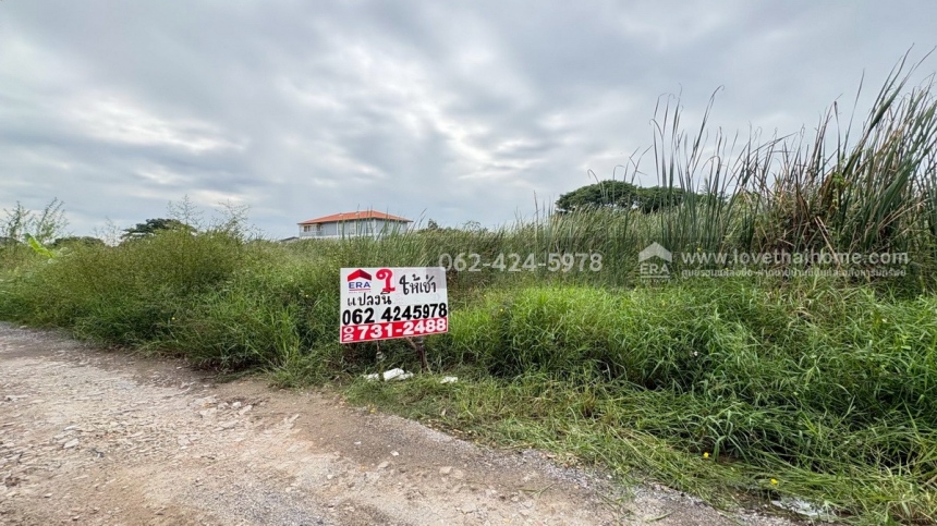 ���Թ������ �оҹ�٧��ا෾