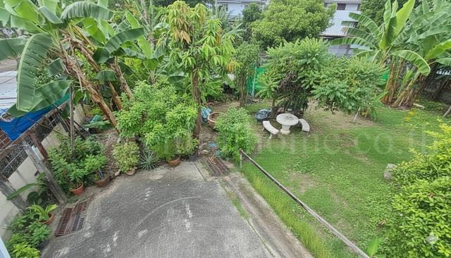 ���Թ ������������