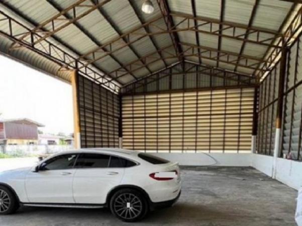 ⡴ѧ������ ������