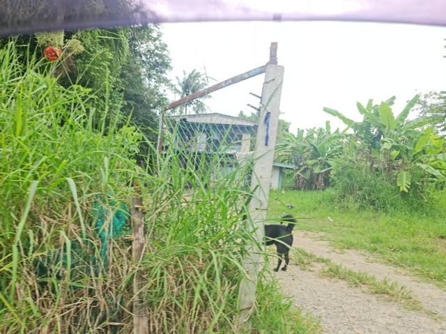 ���Թ �ҡ��ͧ ����Ҫ����