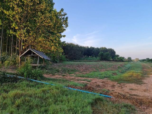 ��·��Թ ⾹����� ˹ͧ���