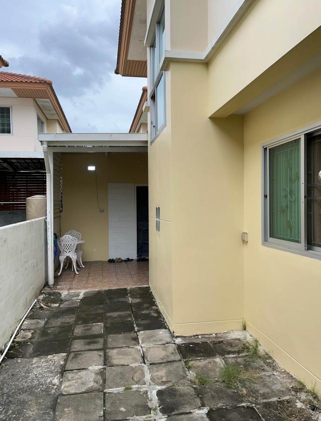 ��º�ҹ �ҧ���¹������