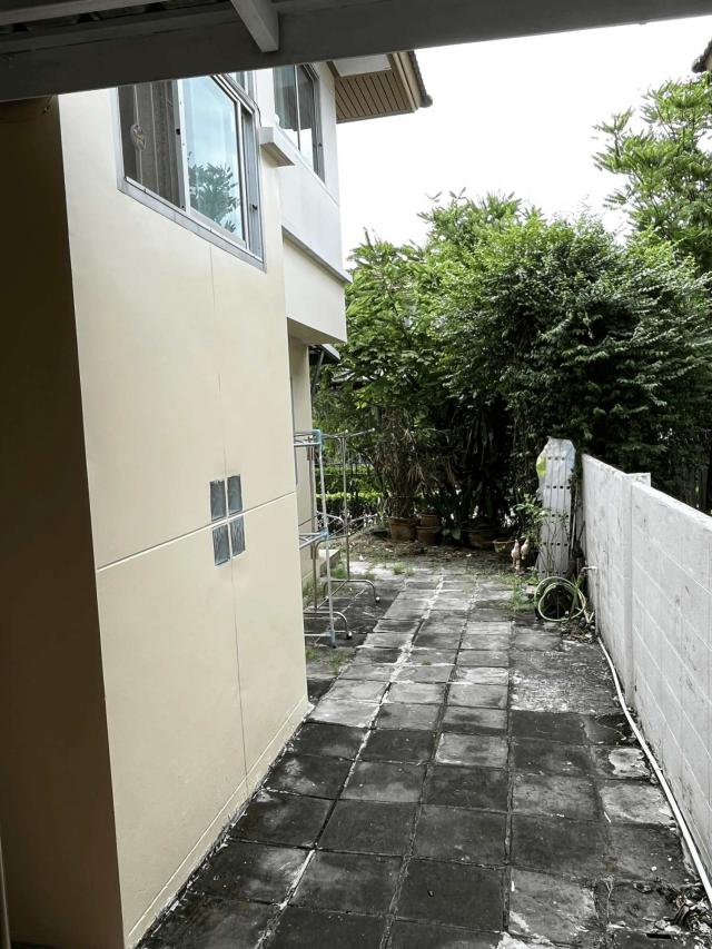 ��º�ҹ �ҧ���¹������