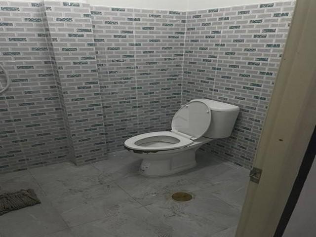 ⡴ѧ������ ������