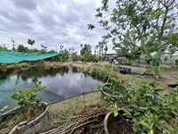 ���Թ�ҧ�С� ���ԧ���