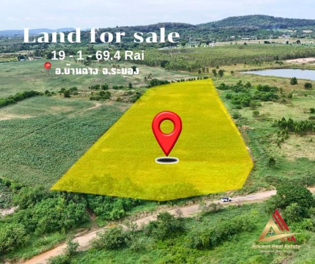 ���Թ 19 ���